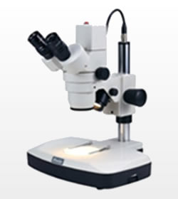 Stereo Microscope with Digital Camera